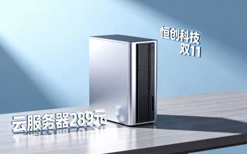 恒创科技双11云服务器真的只要289元吗？恒创科技双11活动攻略