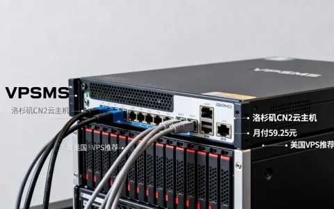 VPSMS洛杉矶CN2云主机月付59.25元靠谱吗？美国VPS推荐