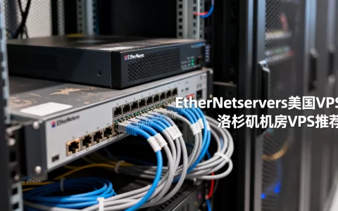 EtherNetservers美国VPS便宜吗？洛杉矶机房VPS推荐