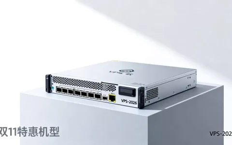 2026年VPS双11哪家性价比高？国内外VPS云主机服务器推荐