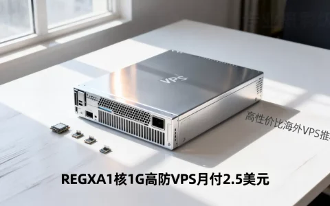 REGXA1核1G高防VPS月付2.5美元值得买吗，高性价比海外VPS推荐