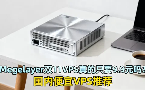Megalayer双11VPS真的只要9.9元吗？国内便宜VPS推荐