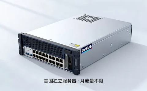 DediPath美国独立服务器月流量不限是真的吗？美国便宜独立服务器推荐