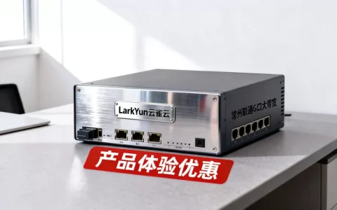 LarkYun云雀云五一VDS九折值得买吗？常州联通G口大带宽VDS测评