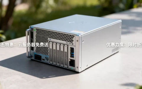 RAKsmart黑五云服务器免费送是真的吗？RAKsmart黑五优惠力度多大