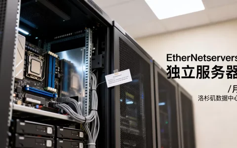EtherNetservers独立服务器$79/月配置如何？美国洛杉矶服务器租用推荐