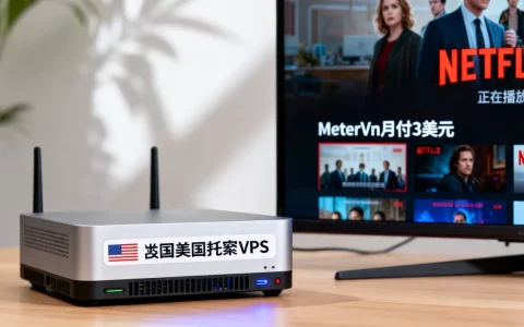 MeterVm月付3美元能解锁Netflix吗？美国圣何塞VPS推荐