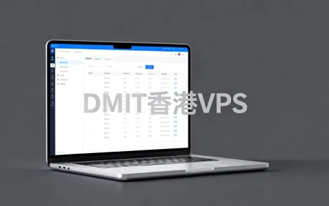 DMIT香港VPS好用吗，$17.9月租性价比如何
