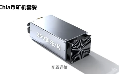 SpinServers Chia币矿机套餐值得买吗，269美元月付矿机配置详情