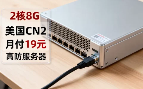 2核8G美国CN2月付19元值得买吗，美国CN2 GIA高防服务器推荐