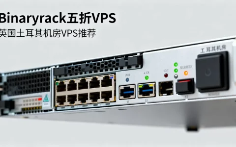 Binaryrack五折VPS值得买吗？英国土耳其机房VPS推荐