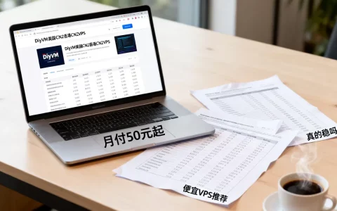 DiyVM美国CN2香港CN2VPS月付50元起真的稳吗，便宜VPS推荐