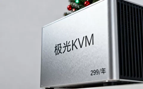 极光KVM圣诞特惠299/年值得入手吗？美西CN2 GIA服务器推荐