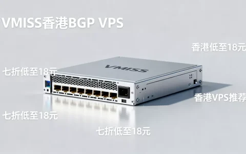 VMISS香港BGP VPS七折低至18元值得买吗，香港VPS推荐