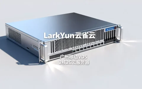 LarkYun云雀云广州移动VDS值得选吗，2核2G云服务器哪家强