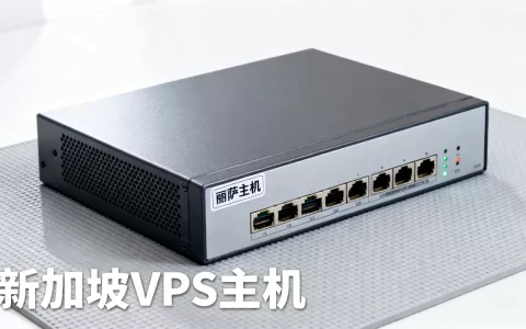 丽萨主机新加坡ISP住宅原生IP VPS值得买吗，新加坡VPS主机推荐