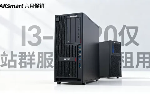 RAKsmart六月促销I3-2120仅$30，RAKsmart站群服务器租用多少钱