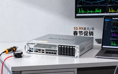 RackNerd美国VPS低至10.99美元一年值得买吗，RackNerd春节促销VPS测评