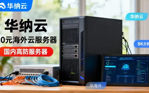 华纳云20元海外云服务器好用吗，国内高防服务器哪家强
