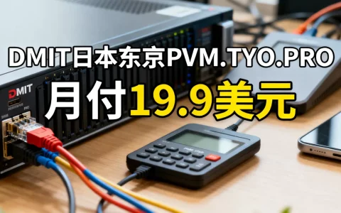 DMIT日本东京PVM.TYO.PRO套餐月付19.9美元好用吗？日本VPS推荐