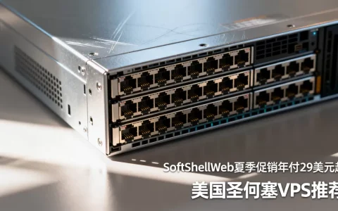 SoftShellWeb夏季促销年付29美元起，美国圣何塞VPS推荐哪家