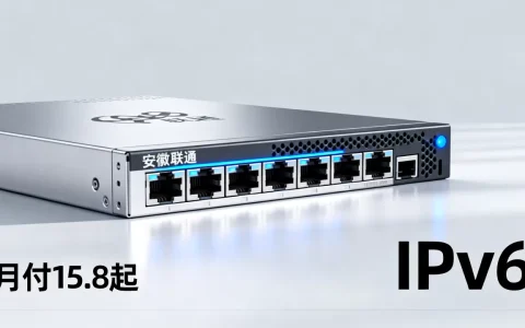 安徽联通IPv6 VPS月付15.8起好用吗？安徽联通IPv6 VPS推荐