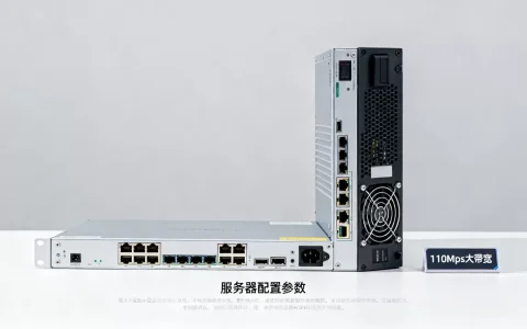 香港110Mbps大带宽服务器怎么选？香港独立服务器租用价格