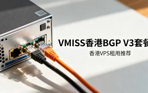 VMISS香港BGP V3套餐值得买吗？香港VPS租用推荐