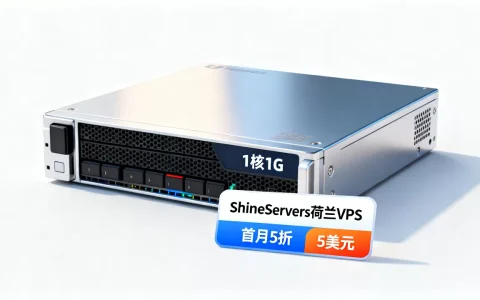 ShineServers荷兰VPS首月5折值得买吗，5美元1核1GVPS推荐