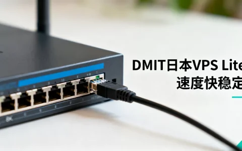 DMIT日本VPS Lite系列好用吗？日本VPS哪家速度快稳定