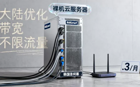 RAKsmart韩国圣何塞裸机云服务器低至$69.3/月,大陆优化带宽不限流量靠谱吗