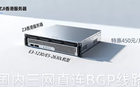 ZJI香港服务器E3-1230/E5-2630L机型特惠450元/月,国内三网直连BGP线路值得买吗？