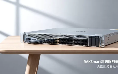 RAKsmart高防服务器多少钱？RAKsmart美国服务器租用价格