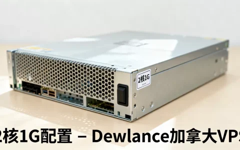 Dewlance加拿大VPS好用吗？2核1G配置怎么样