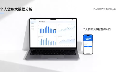 个人贷款一手大数据分析可靠吗？个人贷款大数据查询入口