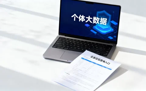 个体大数据是什么？个体企业征信查询入口
