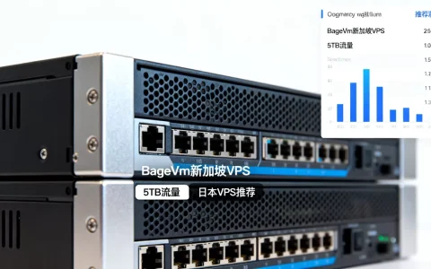 BageVm新加坡VPS5TB流量够用吗？日本VPS推荐