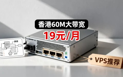 PIGYun香港60M大带宽19元/月是真的吗？便宜VPS推荐