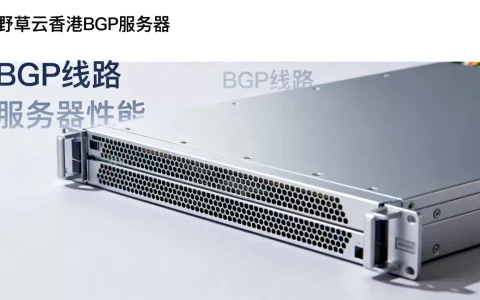 野草云香港BGP服务器到底怎么样？野草云香港普通BGP线路评测