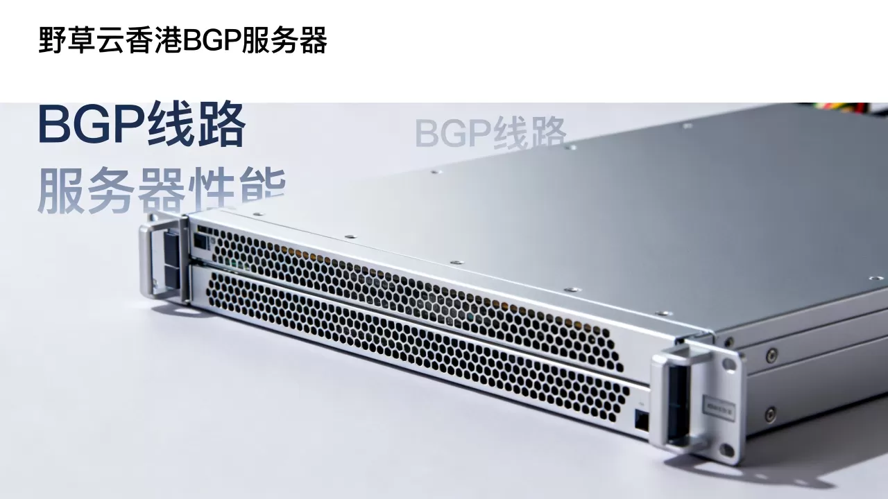 野草云香港BGP服务器到底怎么样？野草云香港普通BGP线路评测