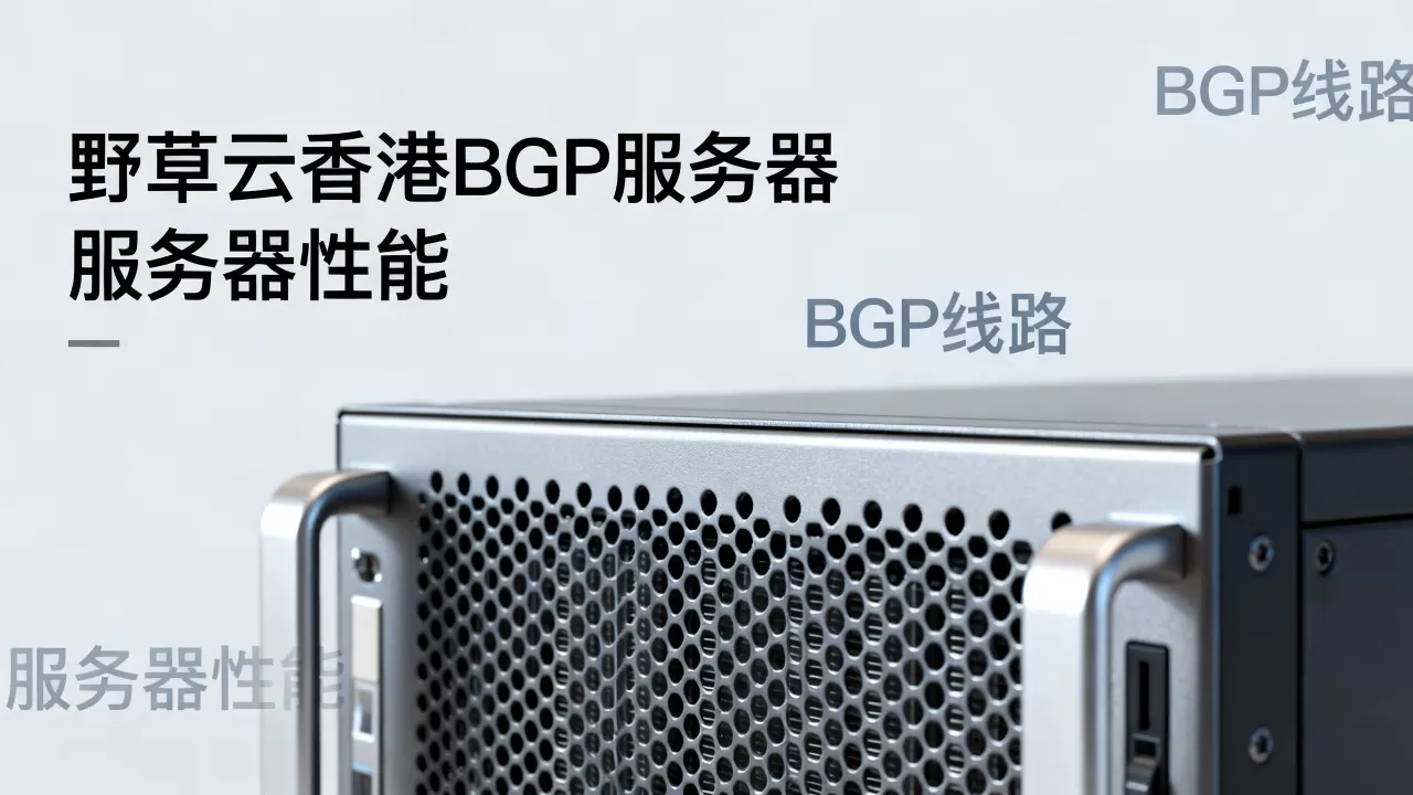 野草云香港BGP服务器到底怎么样？野草云香港普通BGP线路评测