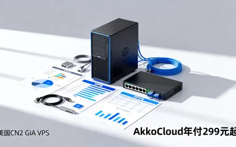 AkkoCloud年付299元起值得买吗,美国CN2 GIA VPS哪家好