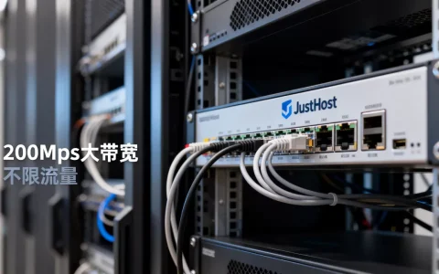 JustHost俄罗斯VPS好用吗？200Mbps大带宽不限流量