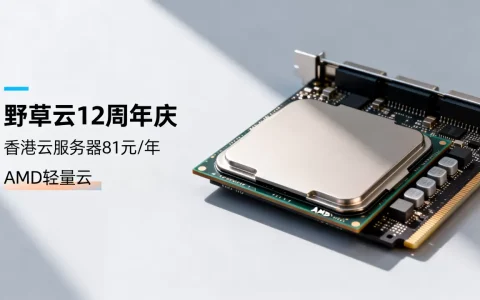 野草云12周年庆香港云服务器81元/年值得买吗？香港AMD轻量云价格