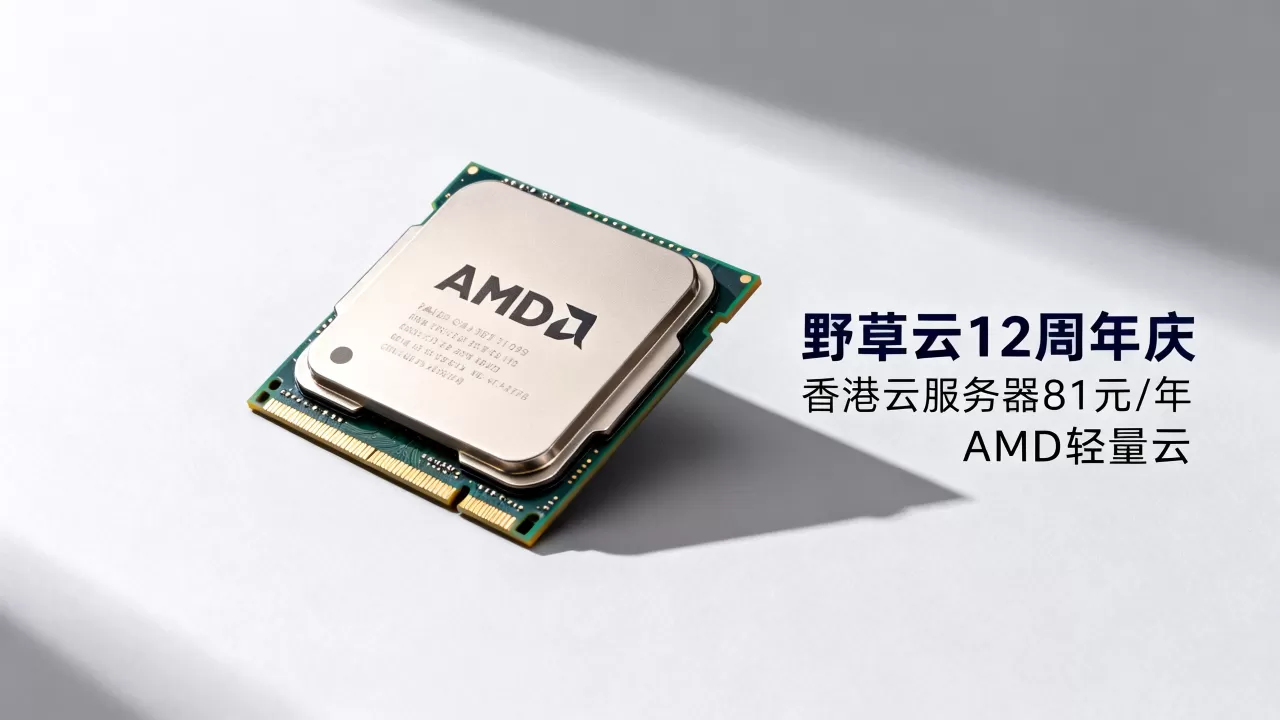 野草云12周年庆香港云服务器81元/年值得买吗？香港AMD轻量云价格