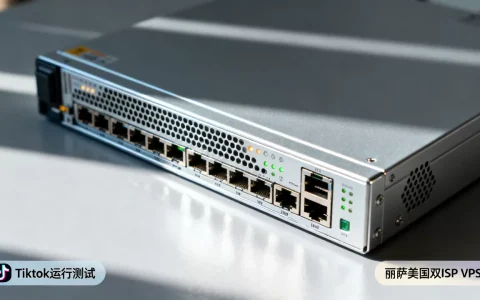丽萨美国双ISP VPS能跑Tiktok吗？美国VPS推荐哪家稳定