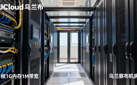 UCloud乌兰察布机房性能如何？1核1G内存1M带宽测评