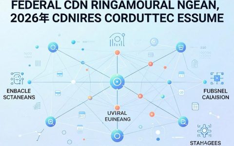 联邦cdn是什么，联邦cdn加速稳定吗