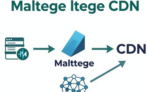 Maltego CDN是什么？Maltego工具使用教程
