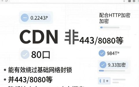 CDN为什么不用80端口？CDN非80端口原因